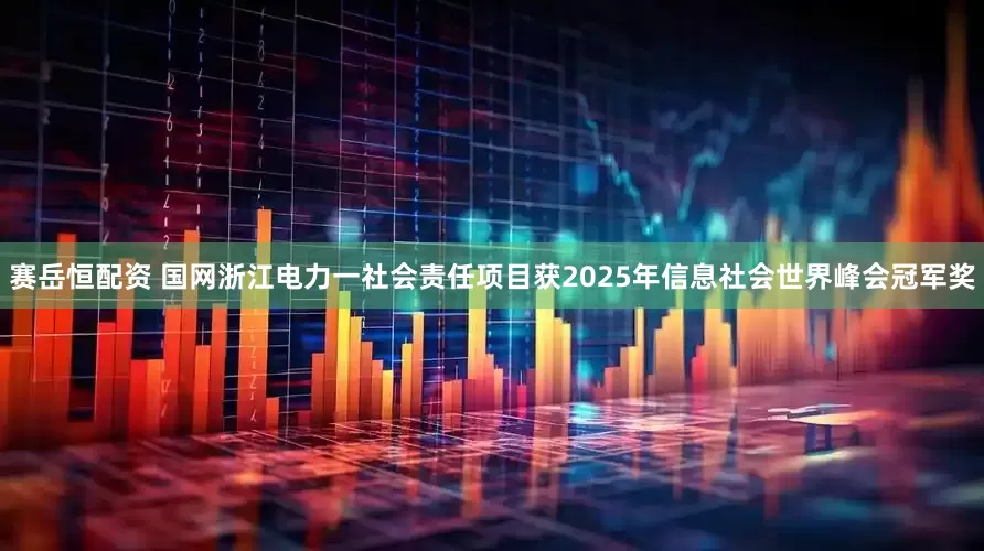 赛岳恒配资 国网浙江电力一社会责任项目获2025年信息社会世界峰会冠军奖