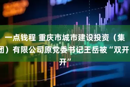 一点钱程 重庆市城市建设投资（集团）有限公司原党委书记王岳被“双开”