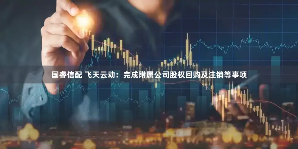 国睿信配 飞天云动：完成附属公司股权回购及注销等事项